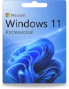 Windows 11 professional